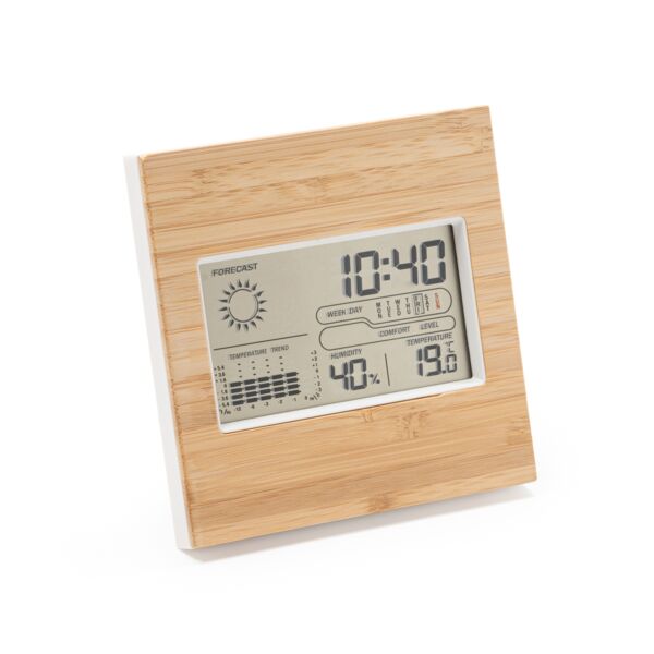 Weather Station Large Thumbnail